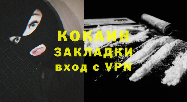ешки Инта