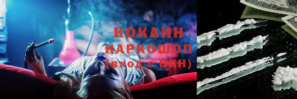 СК Зерноград