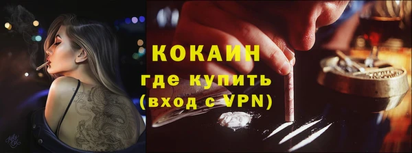 мяу мяу мука Иннополис