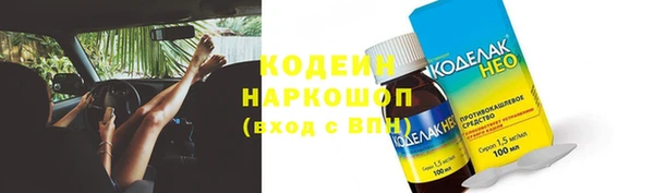 ешки Инта