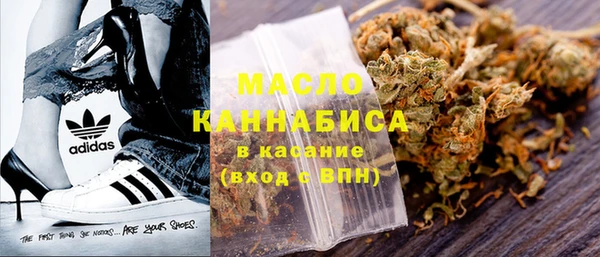 ешки Инта