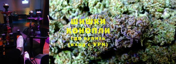 ешки Инта