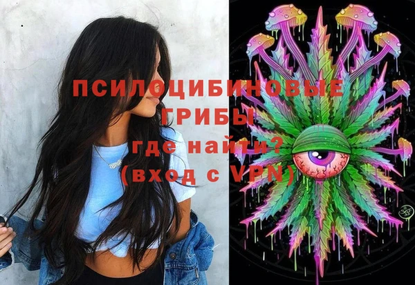 мяу мяу мука Иннополис