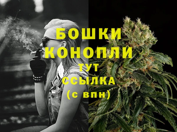 ешки Инта