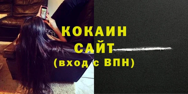 ешки Инта