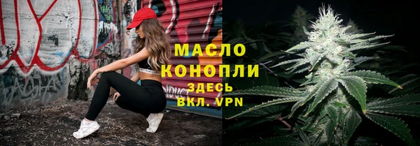 ешки Инта