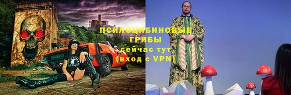 мяу мяу мука Иннополис
