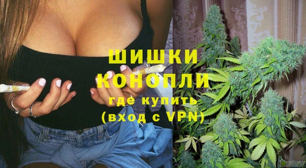 ешки Инта