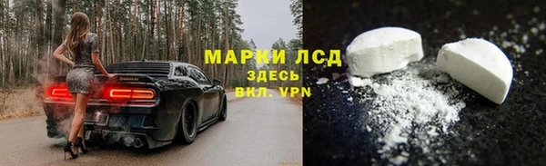 мяу мяу мука Иннополис
