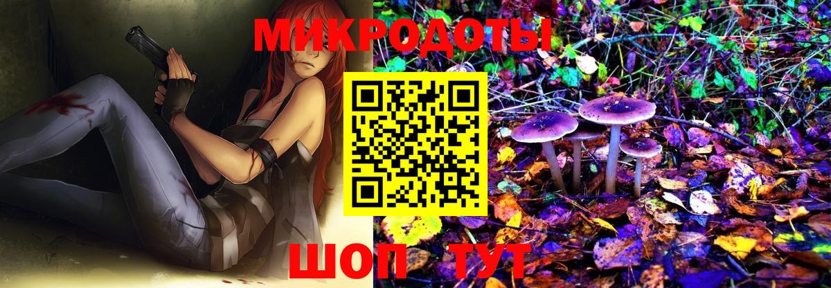 Псилоцибиновые грибы мицелий Волгоград