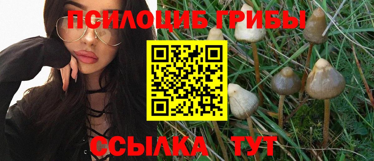 Галлюциногенные грибы мицелий  Псилоцибиновые грибы ЛСД  Волгоград  сколько стоит  Вход с VPN 